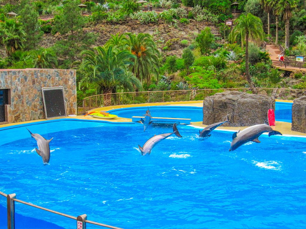 Gran Canaria - Palmitos Park